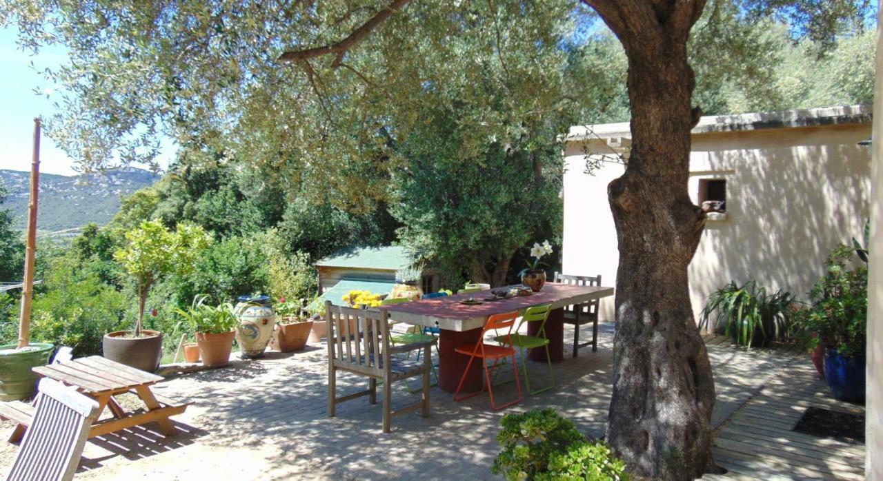 Les Oliviers Bed and Breakfast Casta Εξωτερικό φωτογραφία